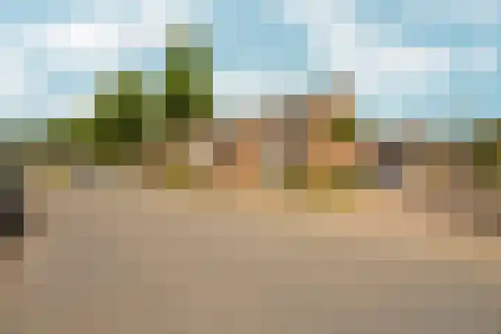 Bredasingel 117 Arnhem thumbnail 34