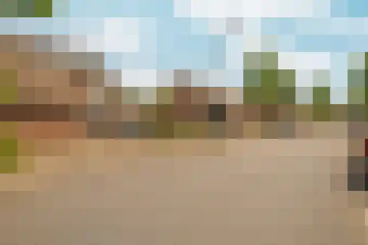 Bredasingel 117 Arnhem thumbnail 35