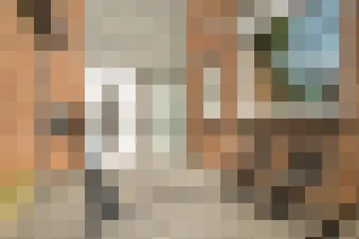 Bredasingel 117 Arnhem thumbnail 6
