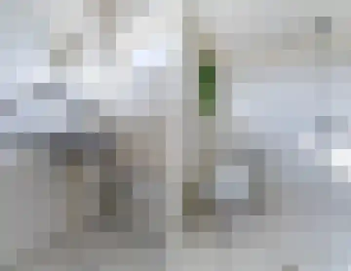 Bredasingel 131 Arnhem thumbnail 14