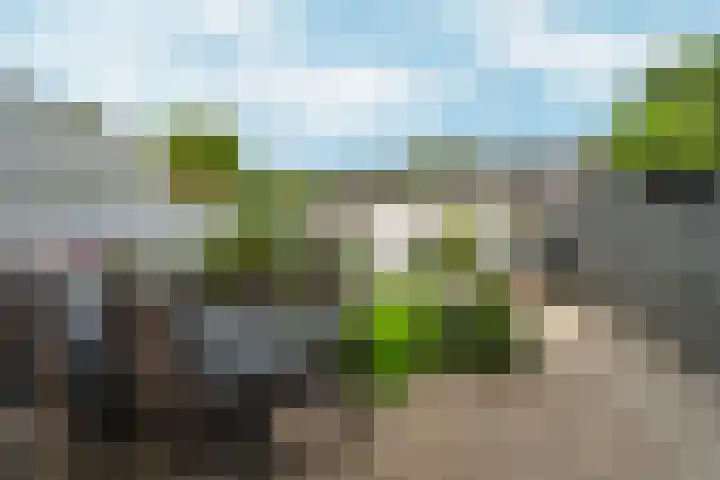 Bredasingel 131 Arnhem thumbnail 31