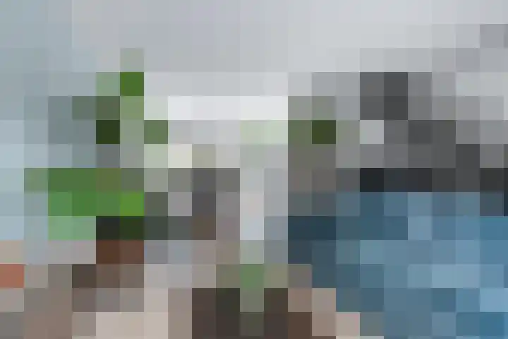 Bredasingel 131 Arnhem thumbnail 6