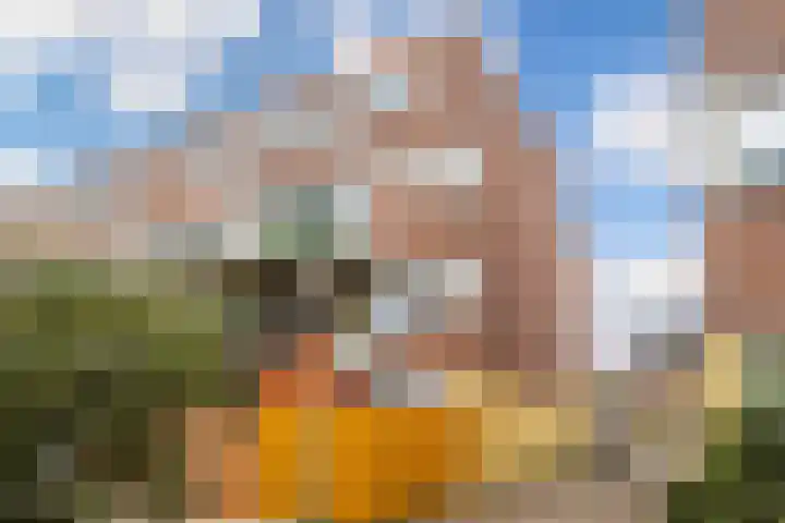 Bredasingel 164 Arnhem thumbnail 26