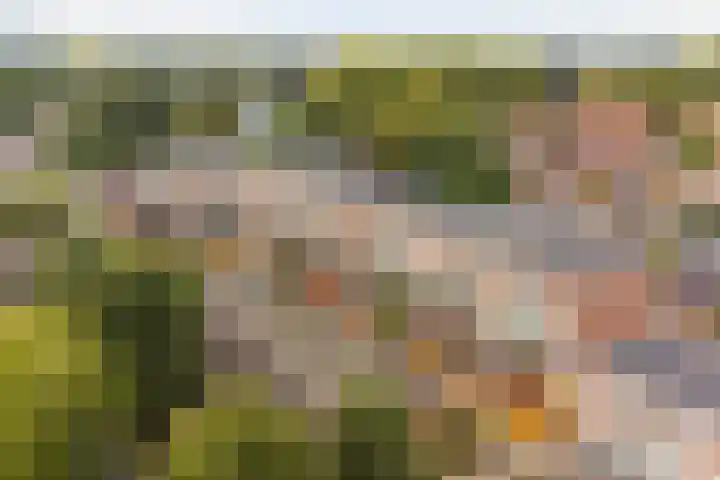 Bredasingel 164 Arnhem thumbnail 29