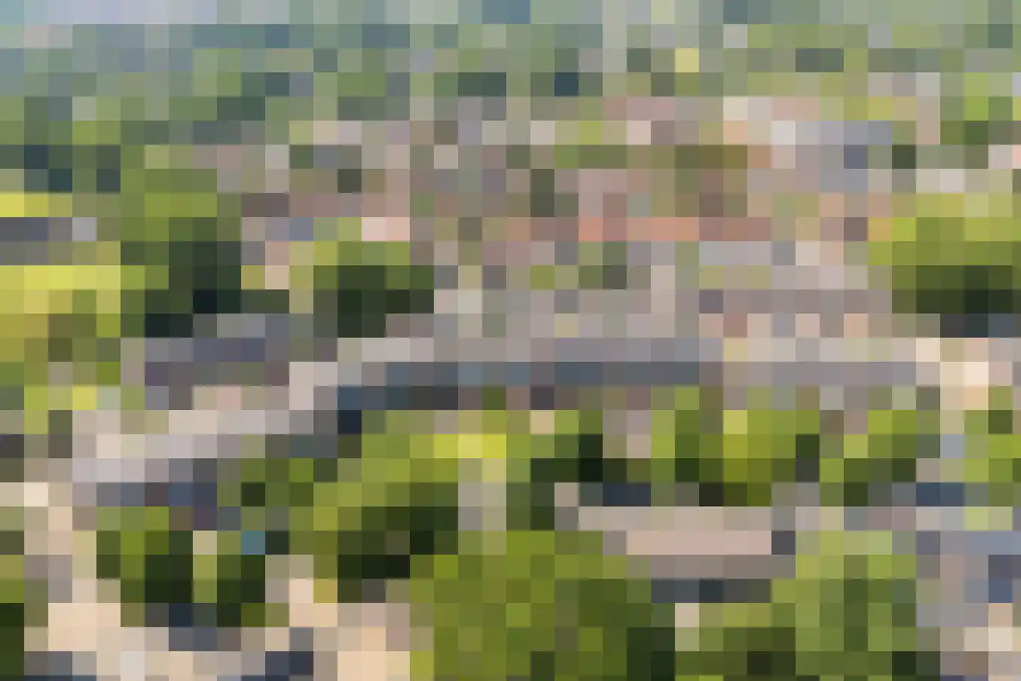 Bredasingel 194 Arnhem thumbnail 24