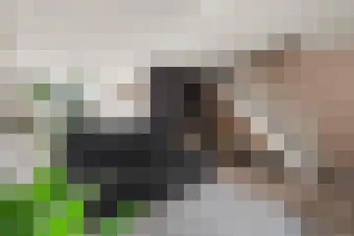 Bredasingel 6 Arnhem thumbnail 10
