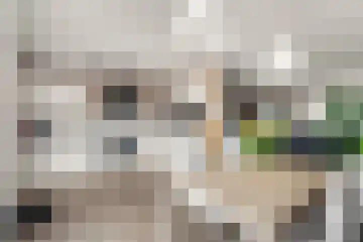 Bredasingel 6 Arnhem thumbnail 11