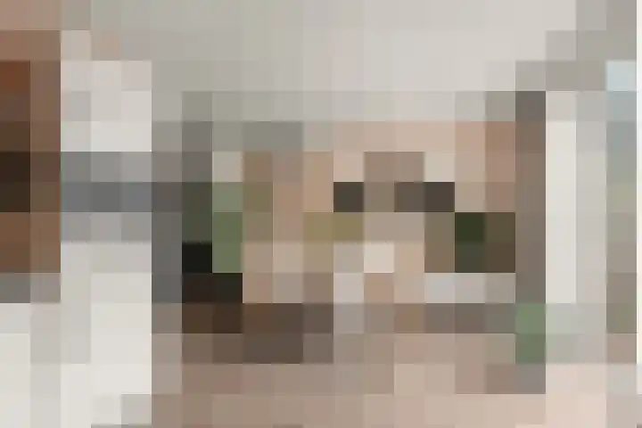 Bredasingel 6 Arnhem thumbnail 12