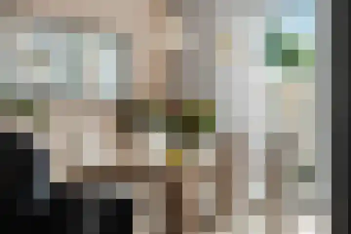 Bredasingel 6 Arnhem thumbnail 14