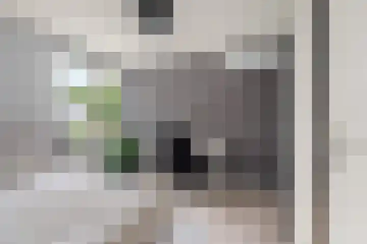 Bredasingel 6 Arnhem thumbnail 18