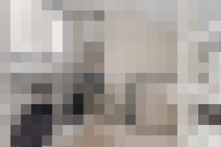 Bredasingel 6 Arnhem thumbnail 27