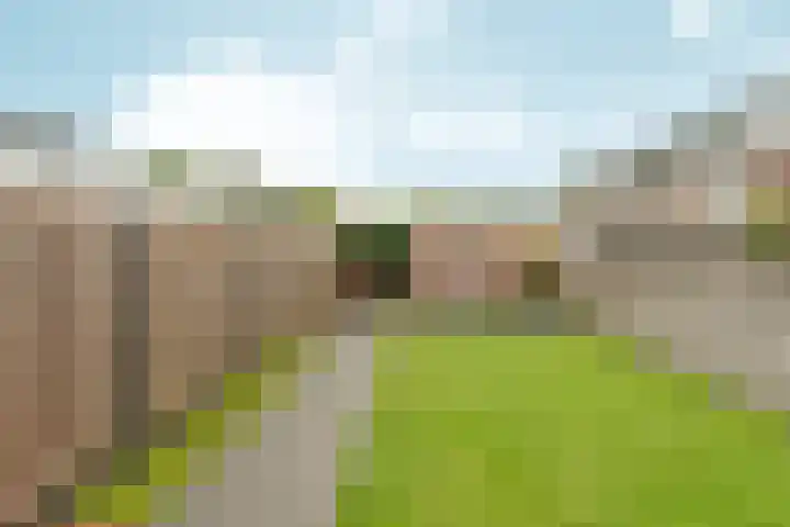 Bredasingel 6 Arnhem thumbnail 28
