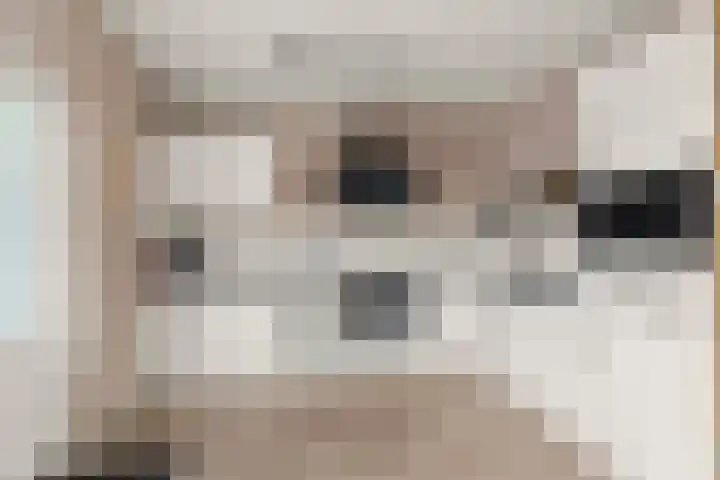 Bredasingel 6 Arnhem foto 3