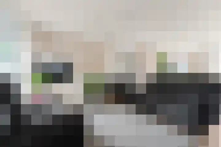Bredasingel 6 Arnhem thumbnail 8