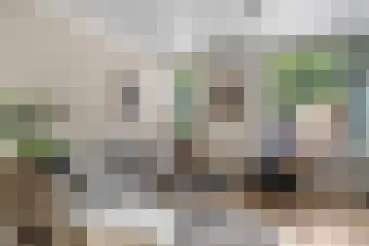 Bredasingel 78 Arnhem thumbnail 10
