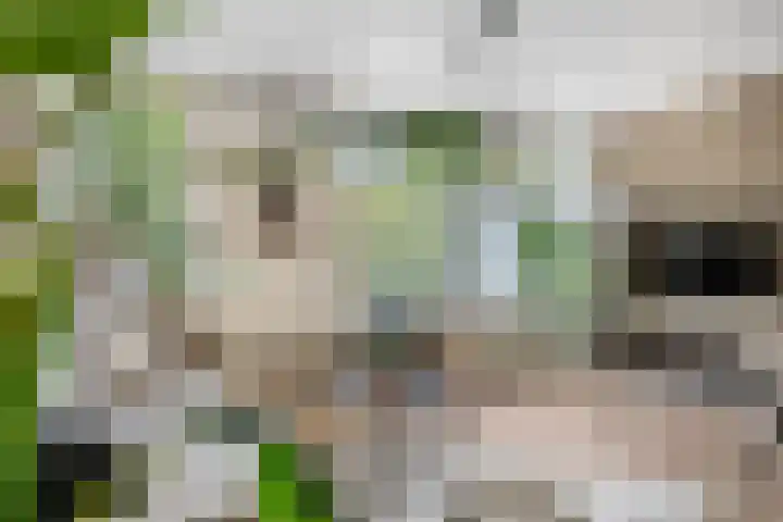 Bredasingel 78 Arnhem thumbnail 11