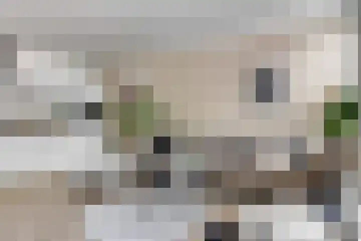 Bredasingel 78 Arnhem thumbnail 12