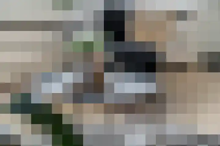 Bredasingel 78 Arnhem thumbnail 13
