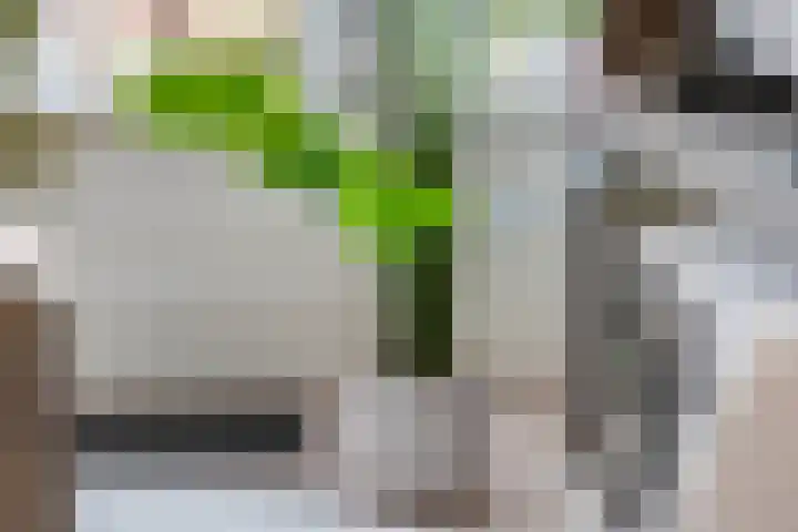 Bredasingel 78 Arnhem thumbnail 14
