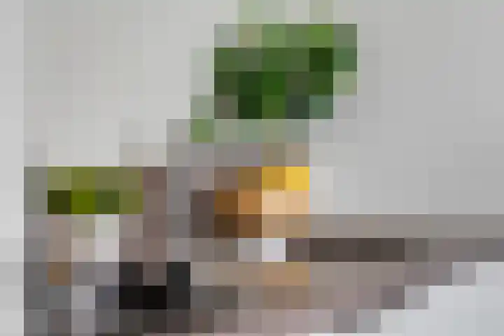 Bredasingel 78 Arnhem thumbnail 16