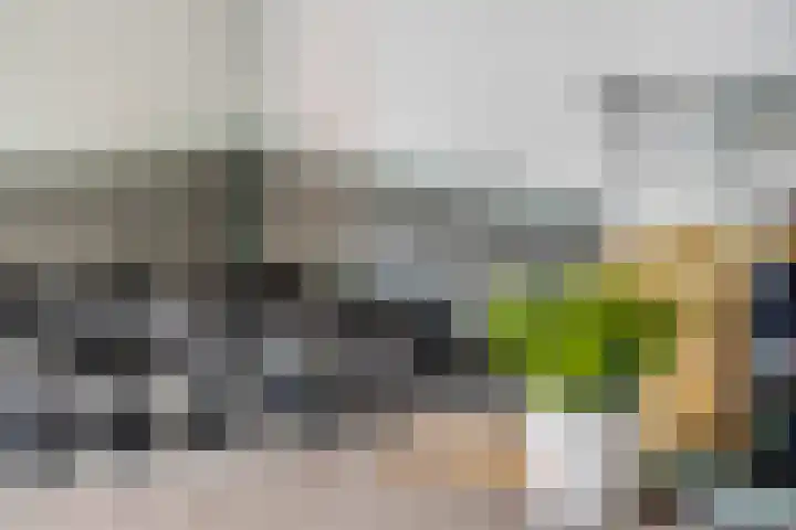 Bredasingel 78 Arnhem thumbnail 17