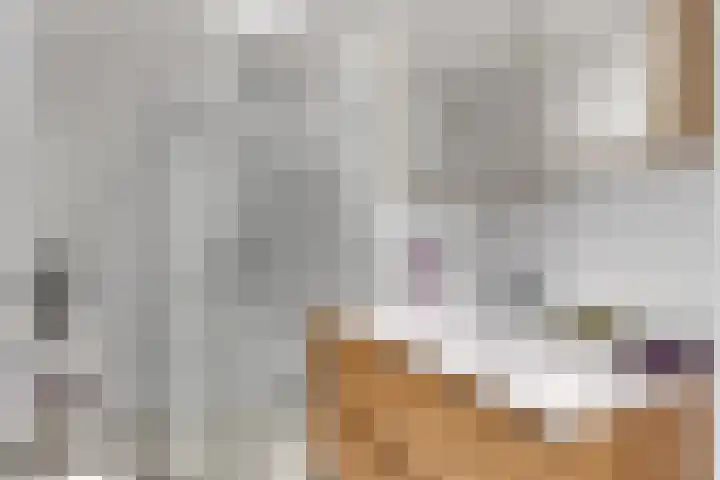 Bredasingel 78 Arnhem thumbnail 23
