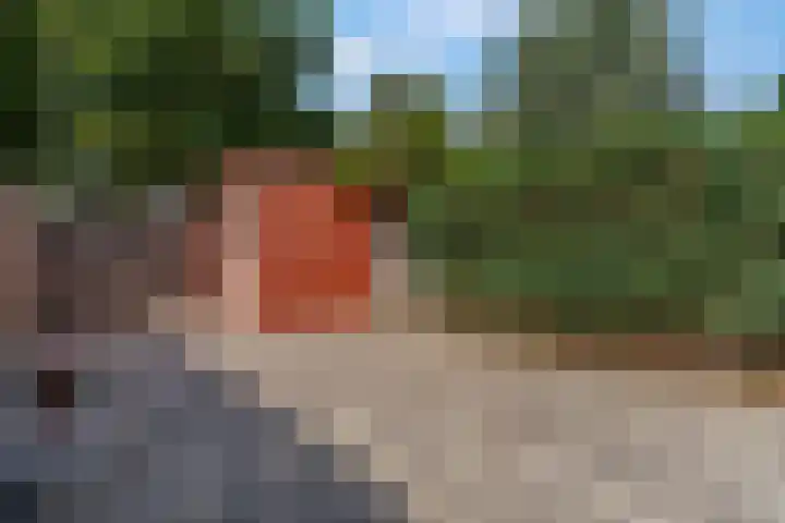 Bredasingel 78 Arnhem thumbnail 26