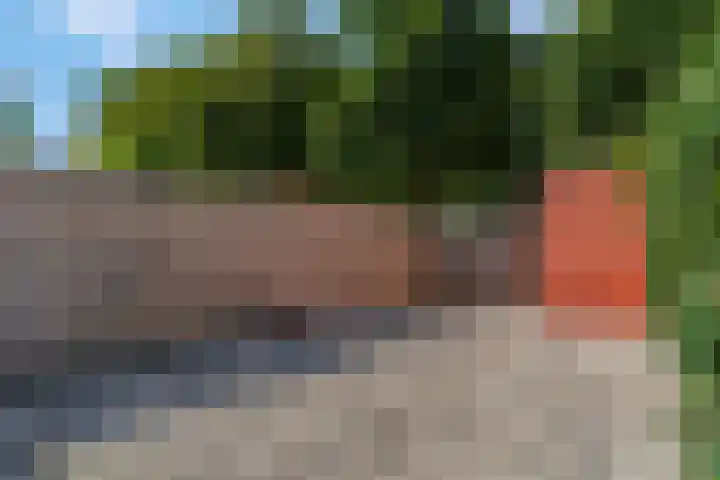 Bredasingel 78 Arnhem thumbnail 27