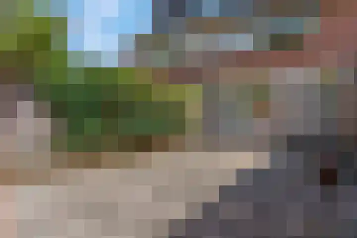 Bredasingel 78 Arnhem thumbnail 28