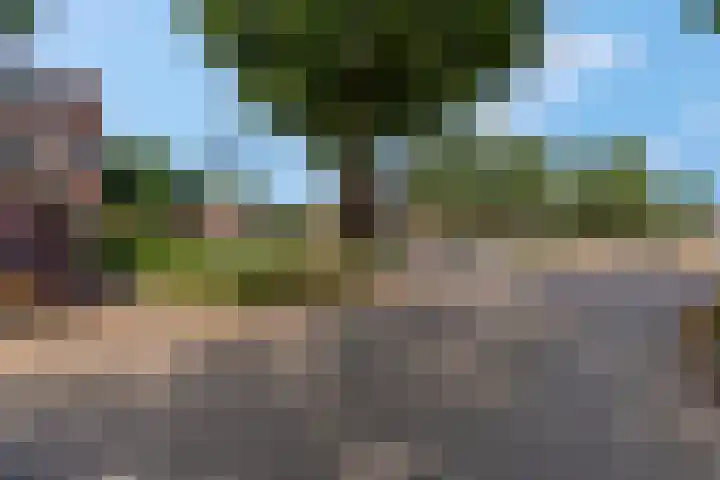 Bredasingel 78 Arnhem thumbnail 34