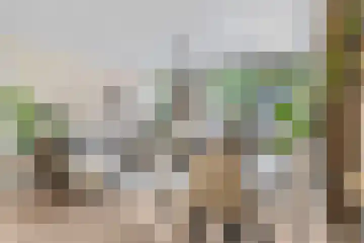 Bredasingel 78 Arnhem thumbnail 8