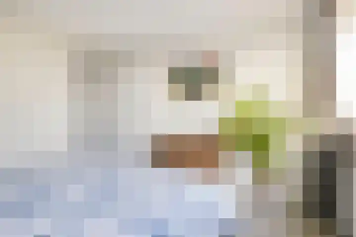 Bredasingel 82 Arnhem thumbnail 18