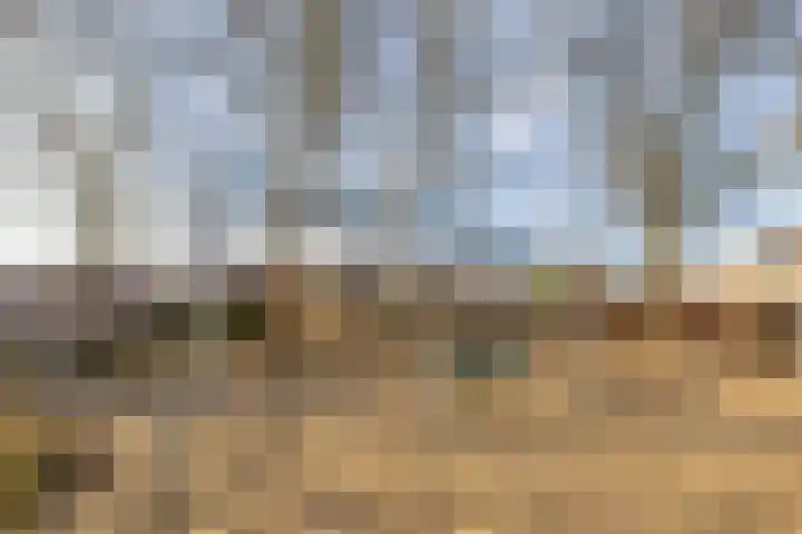 Bredasingel 82 Arnhem thumbnail 31