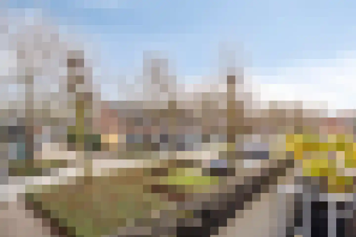 Bredasingel 96 Arnhem thumbnail 30