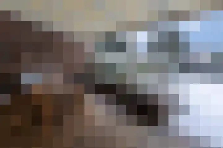 Bredastraat 11 Heerlen thumbnail 37
