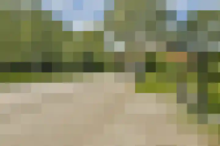 Bredaweg 28 Almere thumbnail 33