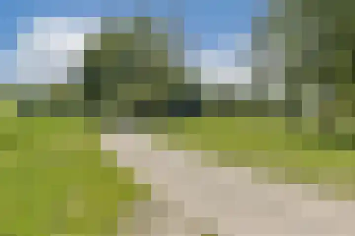 Bredaweg 28 Almere thumbnail 34