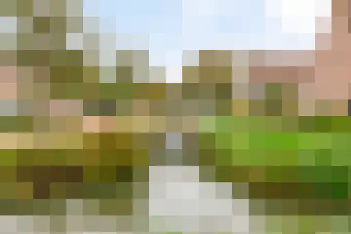 Brede Akker 30 Krimpen aan den IJssel thumbnail 24
