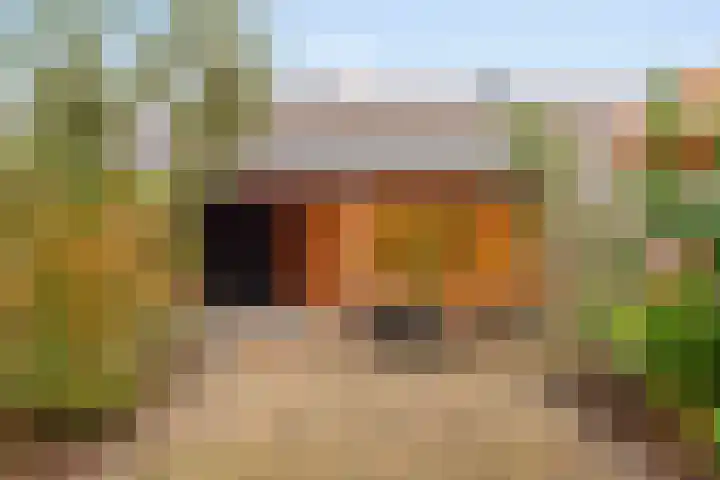 Brede Akker 30 Krimpen aan den IJssel thumbnail 28