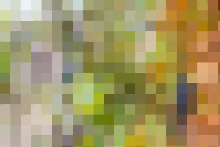 Brede Akker 30 Krimpen aan den IJssel thumbnail 31