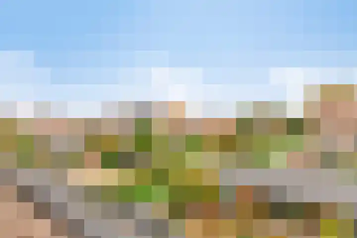 Brede Akker 30 Krimpen aan den IJssel thumbnail 34