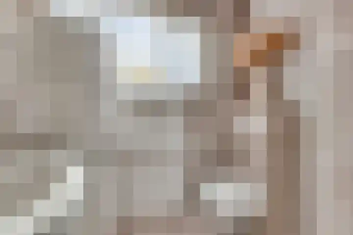 Brede Akker 30 Krimpen aan den IJssel thumbnail 5