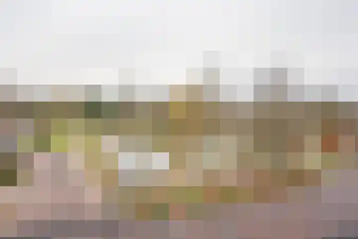 Brede Beek 56 Nijkerk thumbnail 10