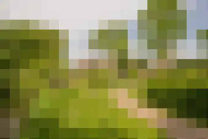 Brede Beek 56 Nijkerk thumbnail 39