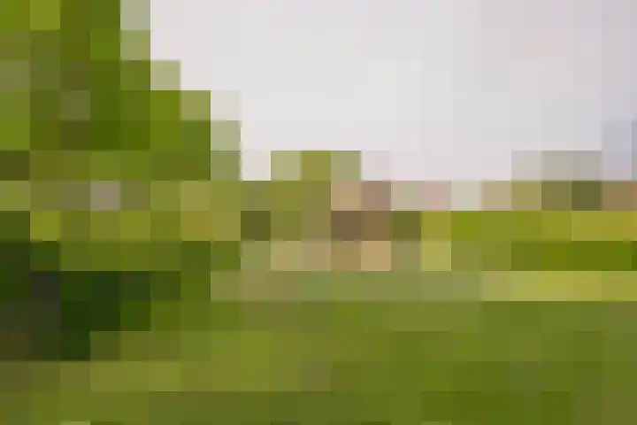 Brede Beek 56 Nijkerk thumbnail 41