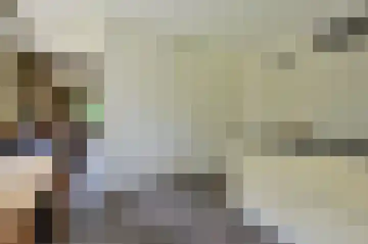 Brede Englaan 11 Huizen thumbnail 11