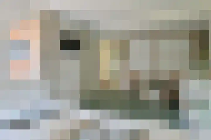 Brede Englaan 11 Huizen thumbnail 14