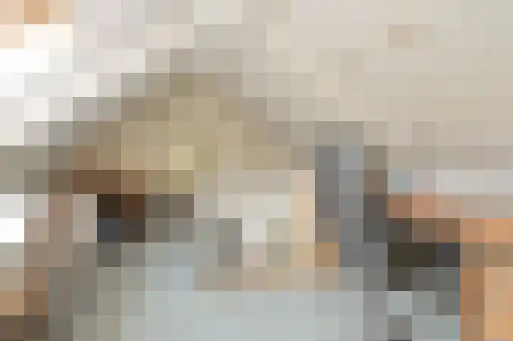 Brede Englaan 11 Huizen thumbnail 16