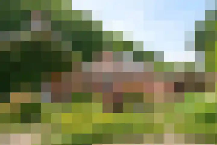 Brede Englaan 11 Huizen thumbnail 19