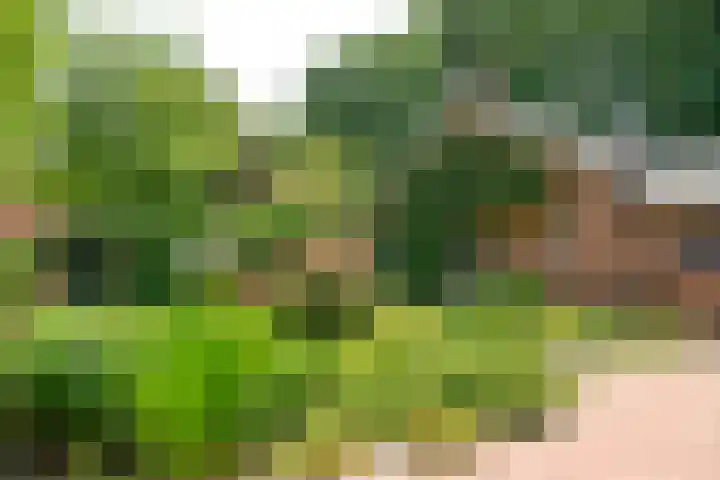 Brede Englaan 11 Huizen thumbnail 22